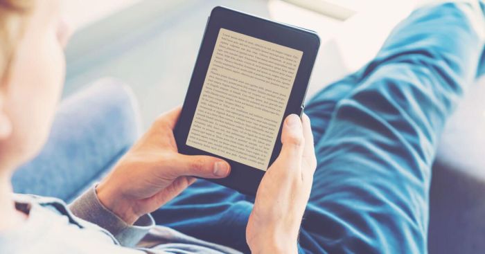 E-book formats for computers