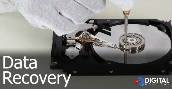 Data recovery and computer repair